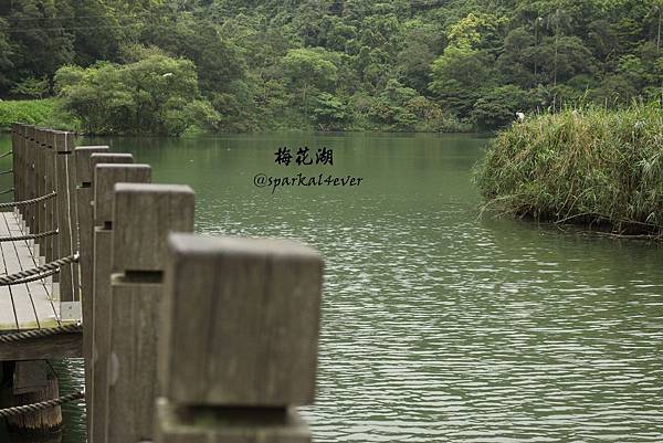 IMG_9072.JPG IMG_9072.JPG