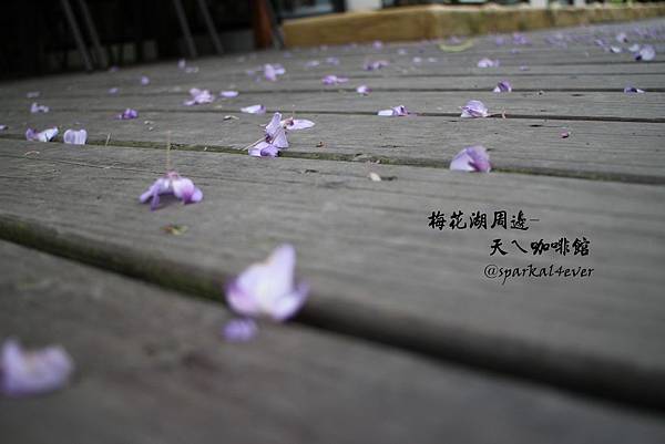 IMG_9089.JPG IMG_9089.JPG