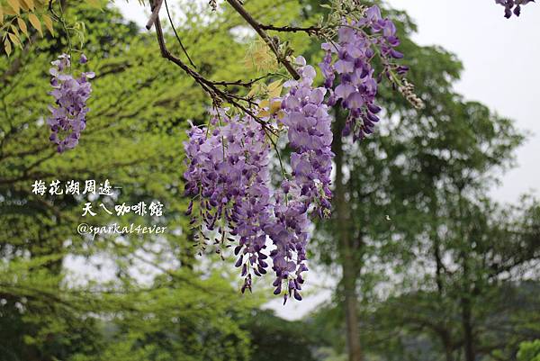 IMG_9093.JPG IMG_9093.JPG