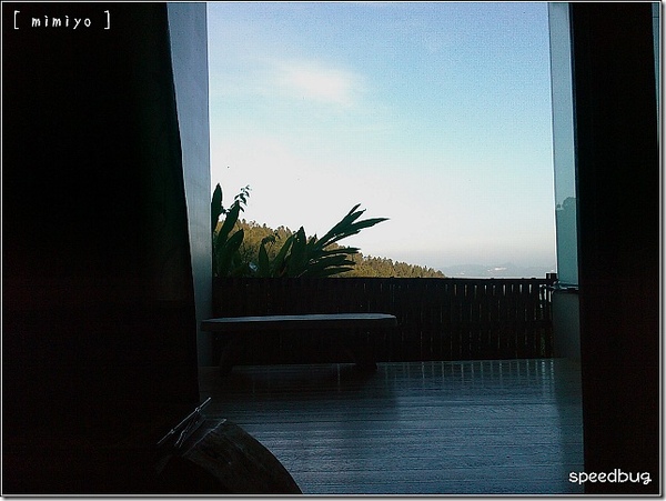 IMAG0046