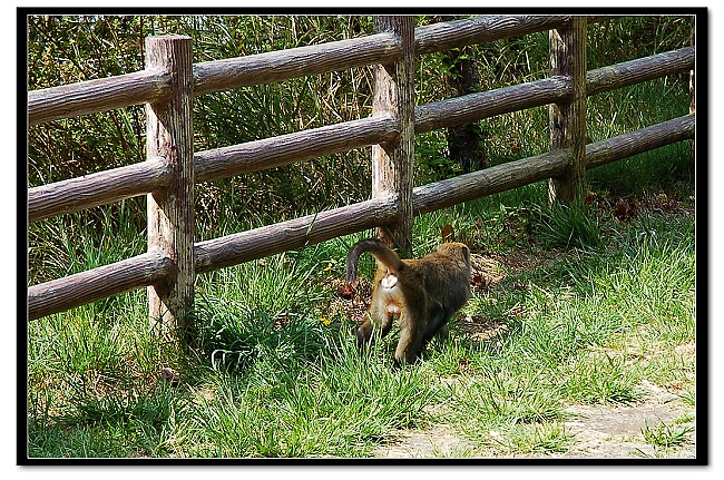 DSC_8188 DSC_8188