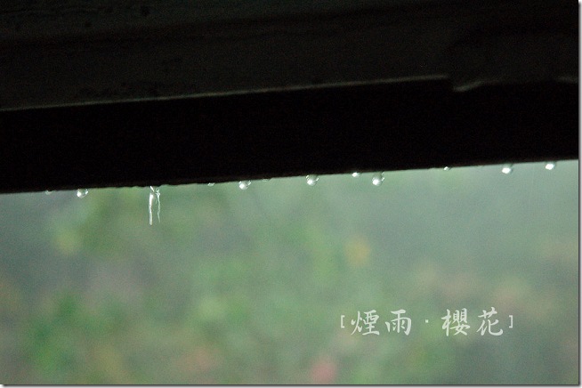 DSC_8337 DSC_8337
