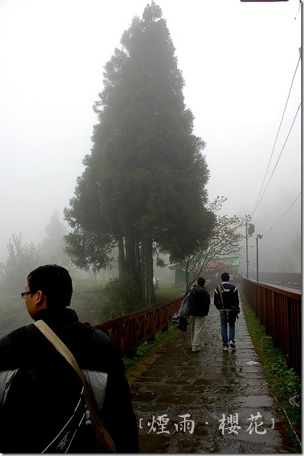 DSC_8372 DSC_8372
