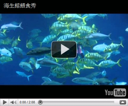 墾丁景點,屏東PINGTUNG,屏東景點,恆春,恆春墾丁,恆春景點,旅遊 墾丁景點,屏東PINGTUNG,屏東景點,恆春,恆春墾丁,恆春景點,旅遊