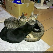 2013-03-26_23-09-58_541