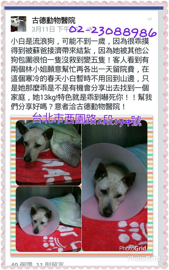 PhotoGrid_1426163556759