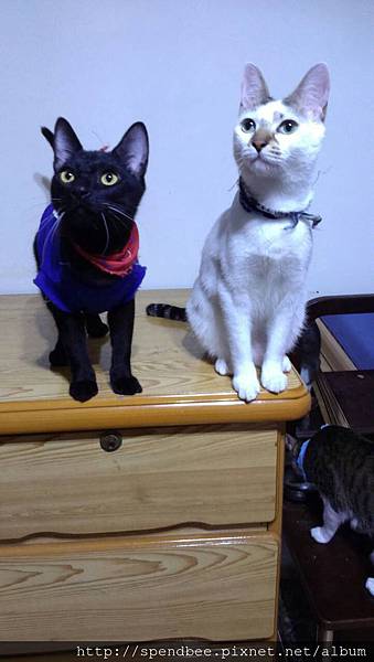 1430575635828 1430575635828