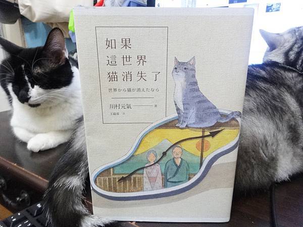 DSC02545.jpg DSC02545.jpg