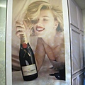 IMG_2728 IMG_2728