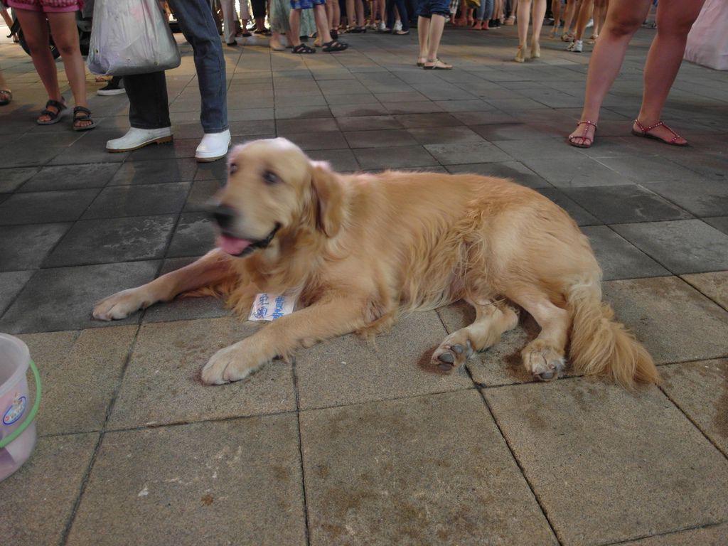 SAM_1671.jpg SAM_1671.jpg