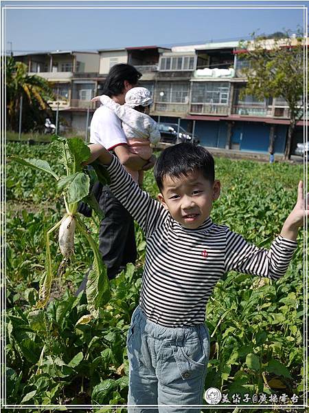 拔蘿蔔初體驗0.jpg 拔蘿蔔初體驗0.jpg