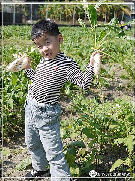 拔蘿蔔初體驗2.jpg 拔蘿蔔初體驗2.jpg
