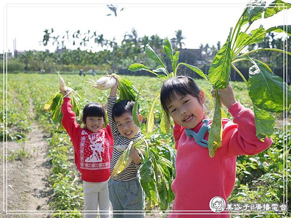 拔蘿蔔初體驗3.jpg 拔蘿蔔初體驗3.jpg