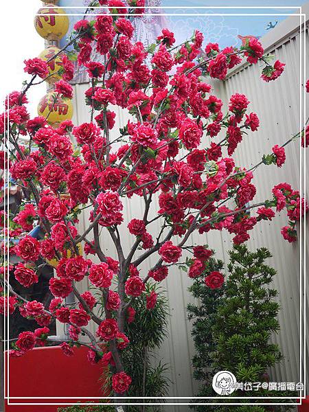 配天宮1.jpg 配天宮1.jpg