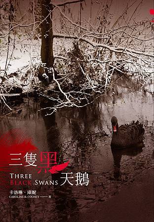 三隻黑天鵝_小封 三隻黑天鵝_小封
