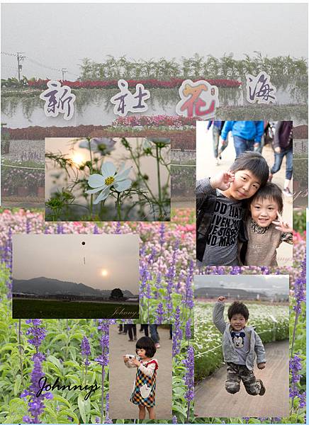 花海封面.JPG 花海封面.JPG