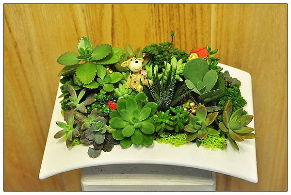 DSC_3819_nEO_IMG_nEO_IMG DSC_3819_nEO_IMG_nEO_IMG