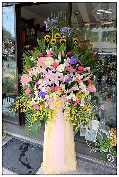 DSCF0413_nEO_IMG DSCF0413_nEO_IMG