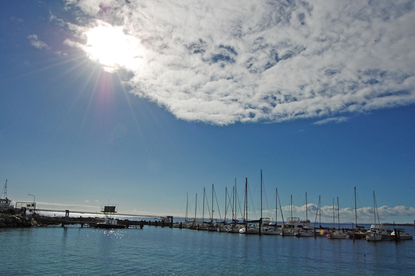 DSC_0562.jpg DSC_0562.jpg