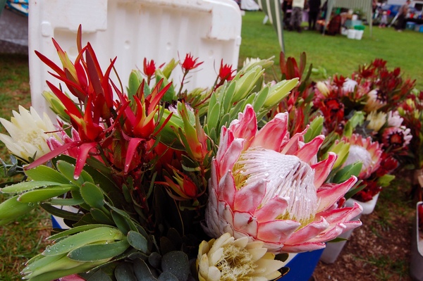 DSC_0575.jpg DSC_0575.jpg