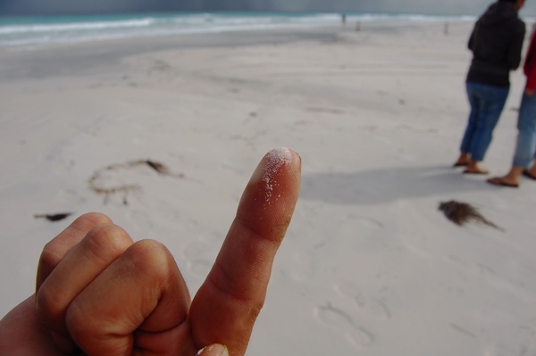 DSC_0578.jpg DSC_0578.jpg