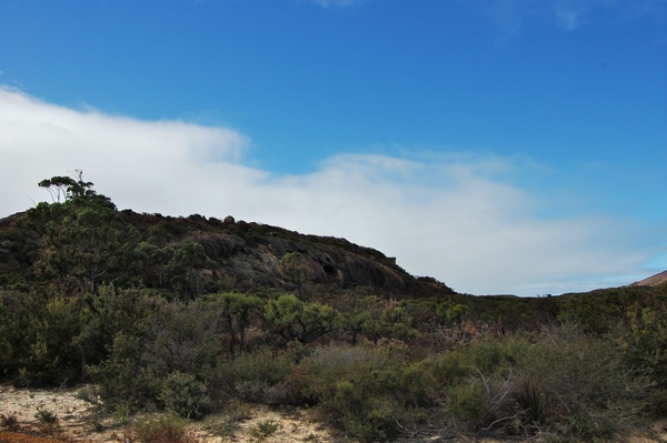 DSC_0589.jpg DSC_0589.jpg