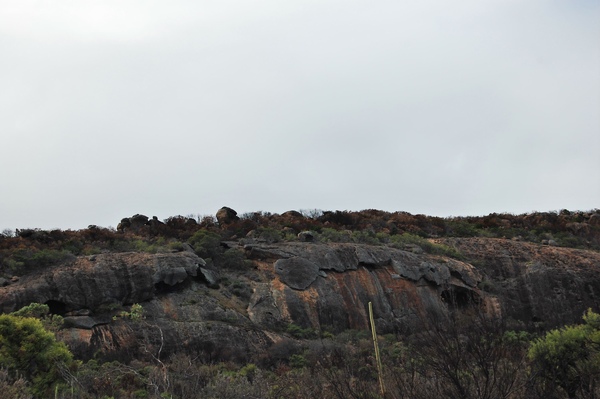 DSC_0591.jpg DSC_0591.jpg