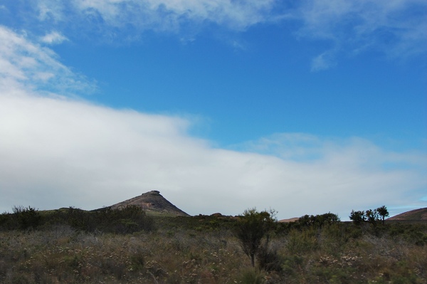 DSC_0597.jpg DSC_0597.jpg