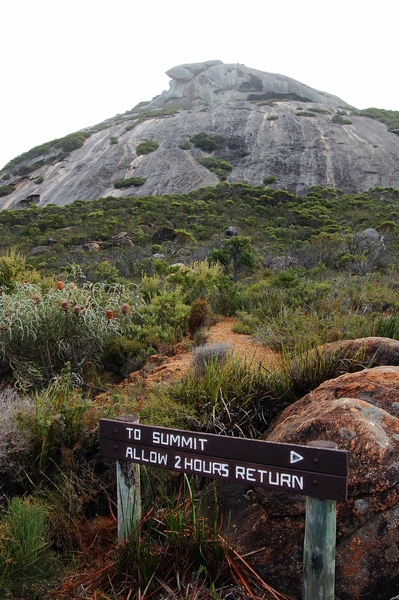 DSC_0602.jpg DSC_0602.jpg