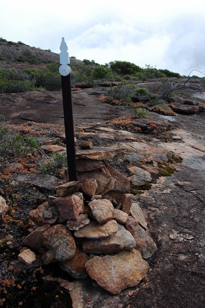 DSC_0603.jpg DSC_0603.jpg