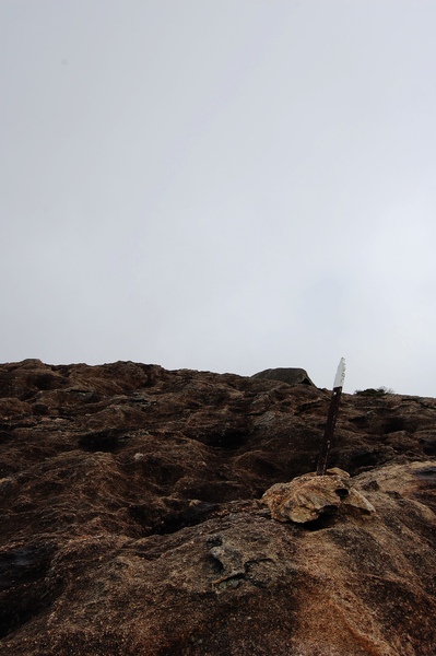 DSC_0609.jpg DSC_0609.jpg