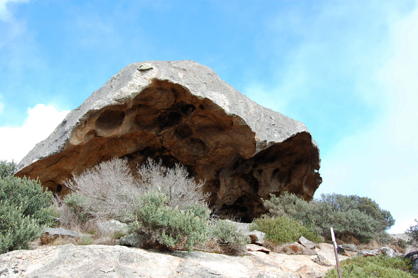 DSC_0614.jpg DSC_0614.jpg