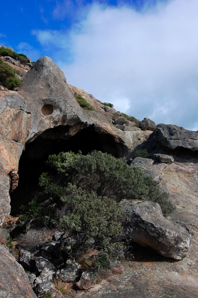 DSC_0621.jpg DSC_0621.jpg