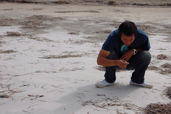 DSC_0637.jpg DSC_0637.jpg