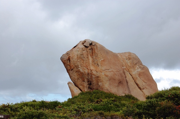 DSC_0647.jpg DSC_0647.jpg