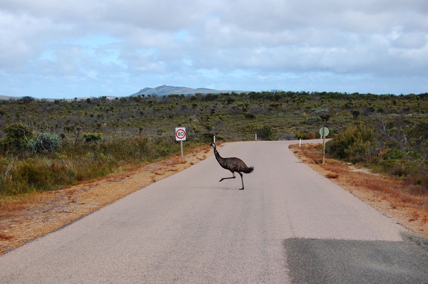 DSC_0660.jpg DSC_0660.jpg