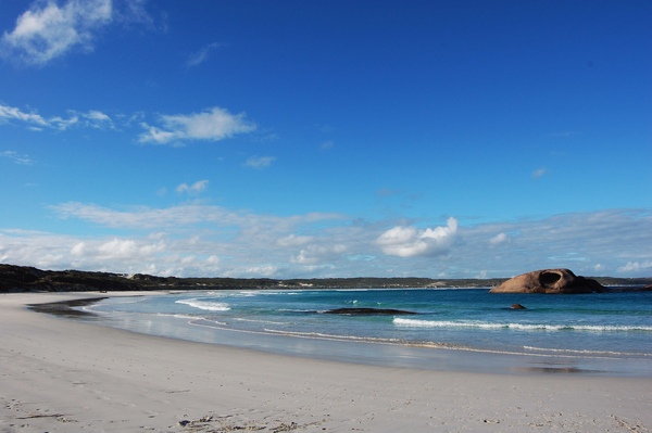 DSC_0685.jpg DSC_0685.jpg