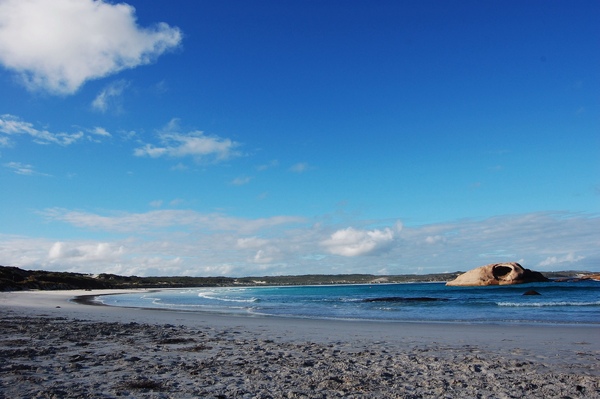 DSC_0686.jpg DSC_0686.jpg