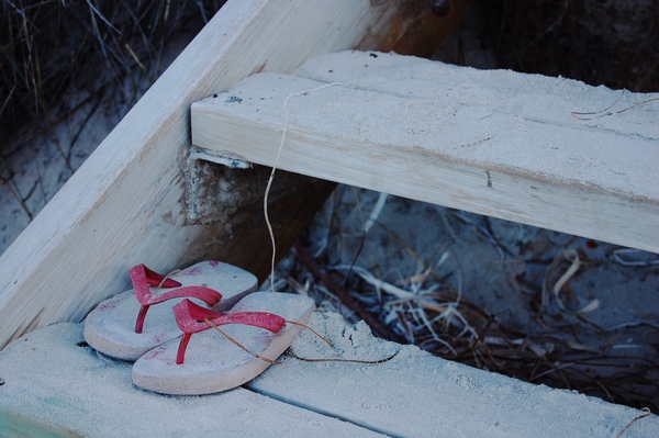 DSC_0687.jpg DSC_0687.jpg