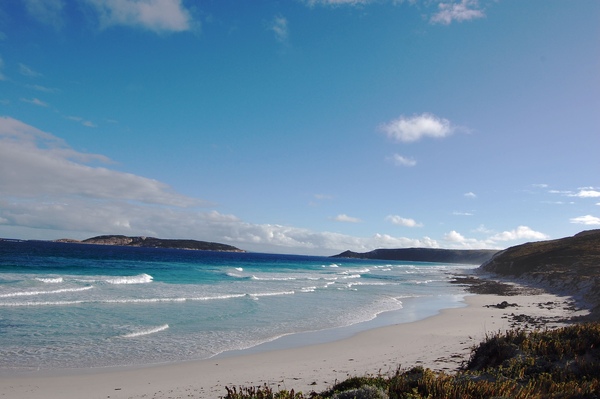 DSC_0690.jpg DSC_0690.jpg