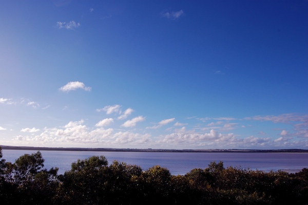 DSC_0693.jpg DSC_0693.jpg