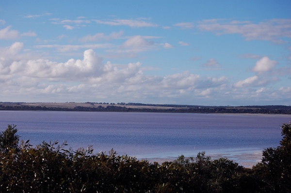 DSC_0695.jpg DSC_0695.jpg