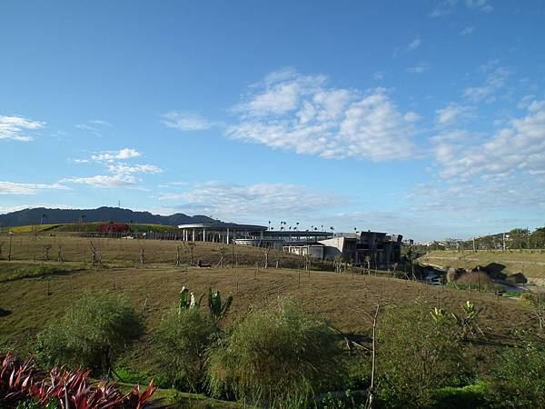 DSCF8915 DSCF8915
