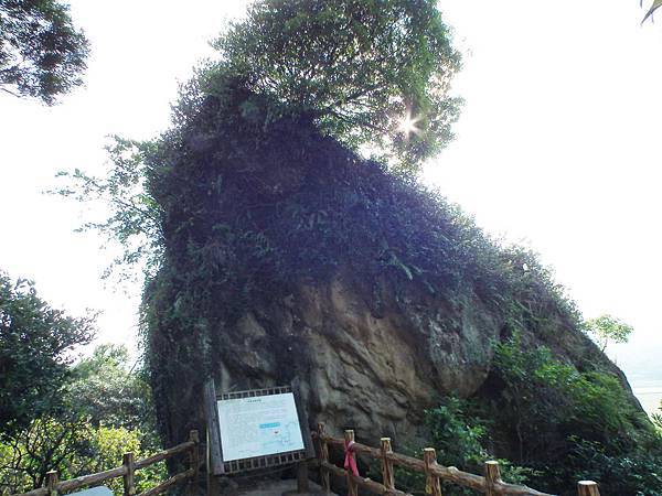 DSCF8869 DSCF8869