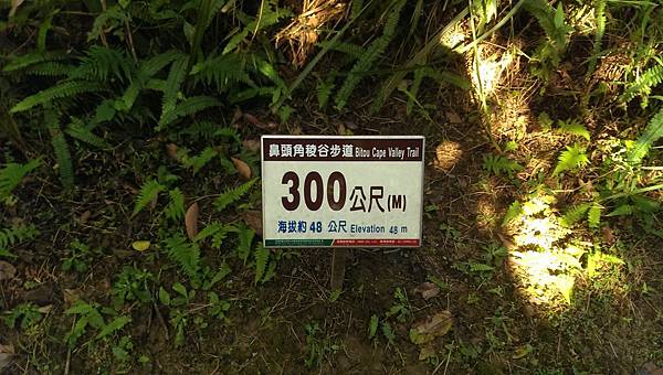 IMAG3098.jpg IMAG3098.jpg