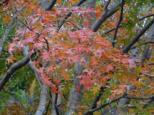 DSC01751.JPG DSC01751.JPG