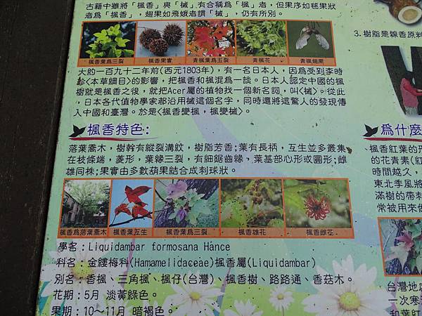 DSC01857 DSC01857