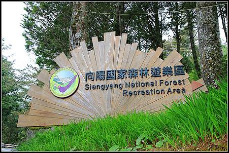 IMG_5911.JPG IMG_5911.JPG