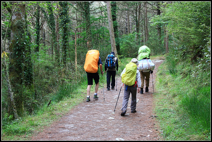 IMG_5923.JPG IMG_5923.JPG