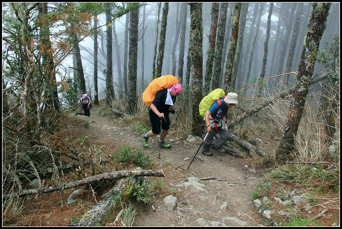 IMG_5964.JPG IMG_5964.JPG